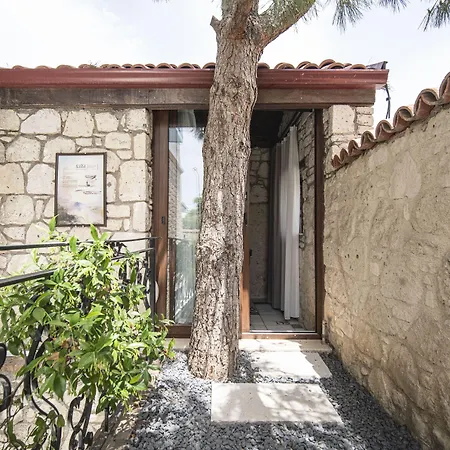 Sandal - Adult Only 2*