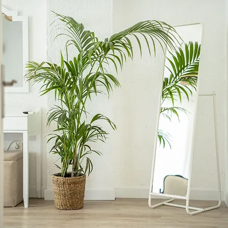 Sandal - Adult Only Alaçatı