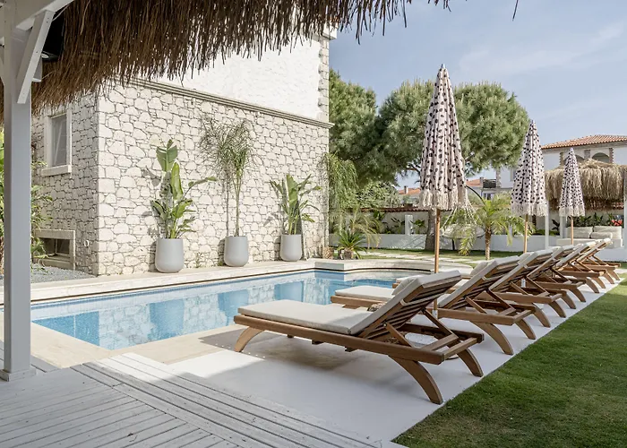 Sandal - Adult Only 2*