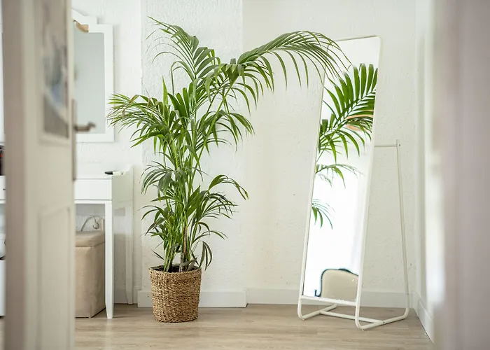 Sandal - Adult Only Alacati